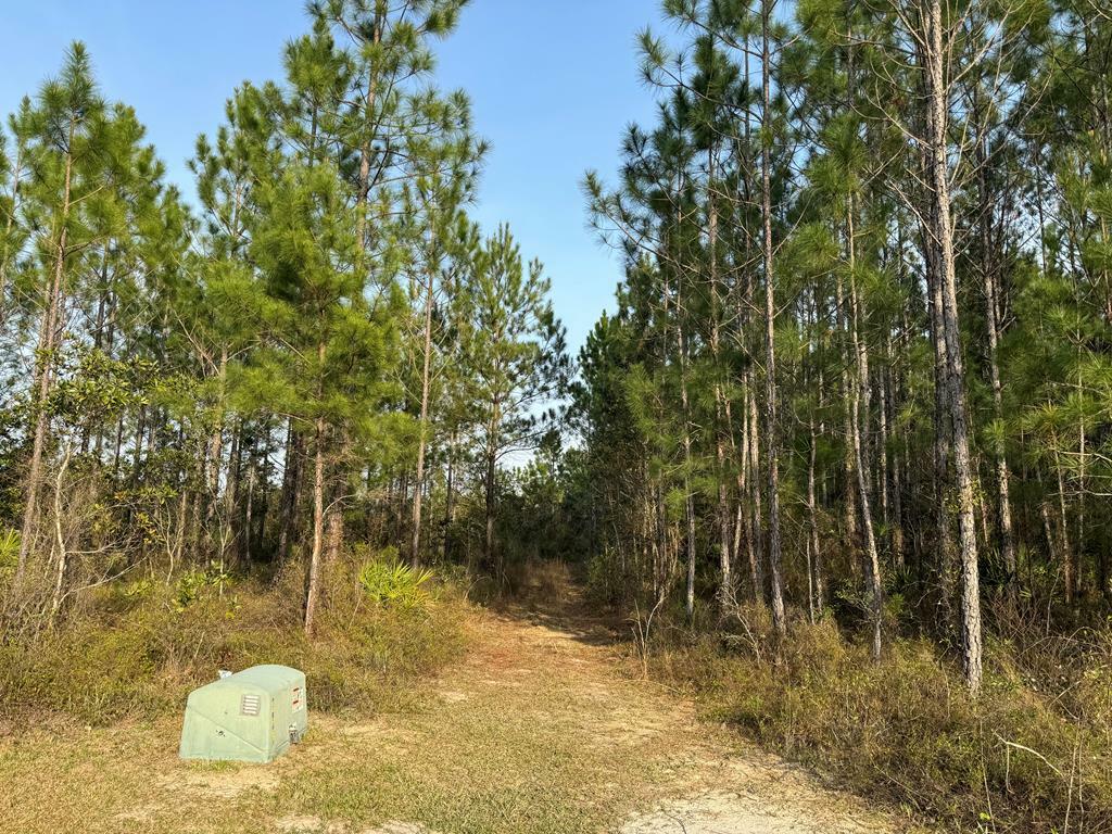 Property Photo: 1139 Henry Walcott Road GA 31316