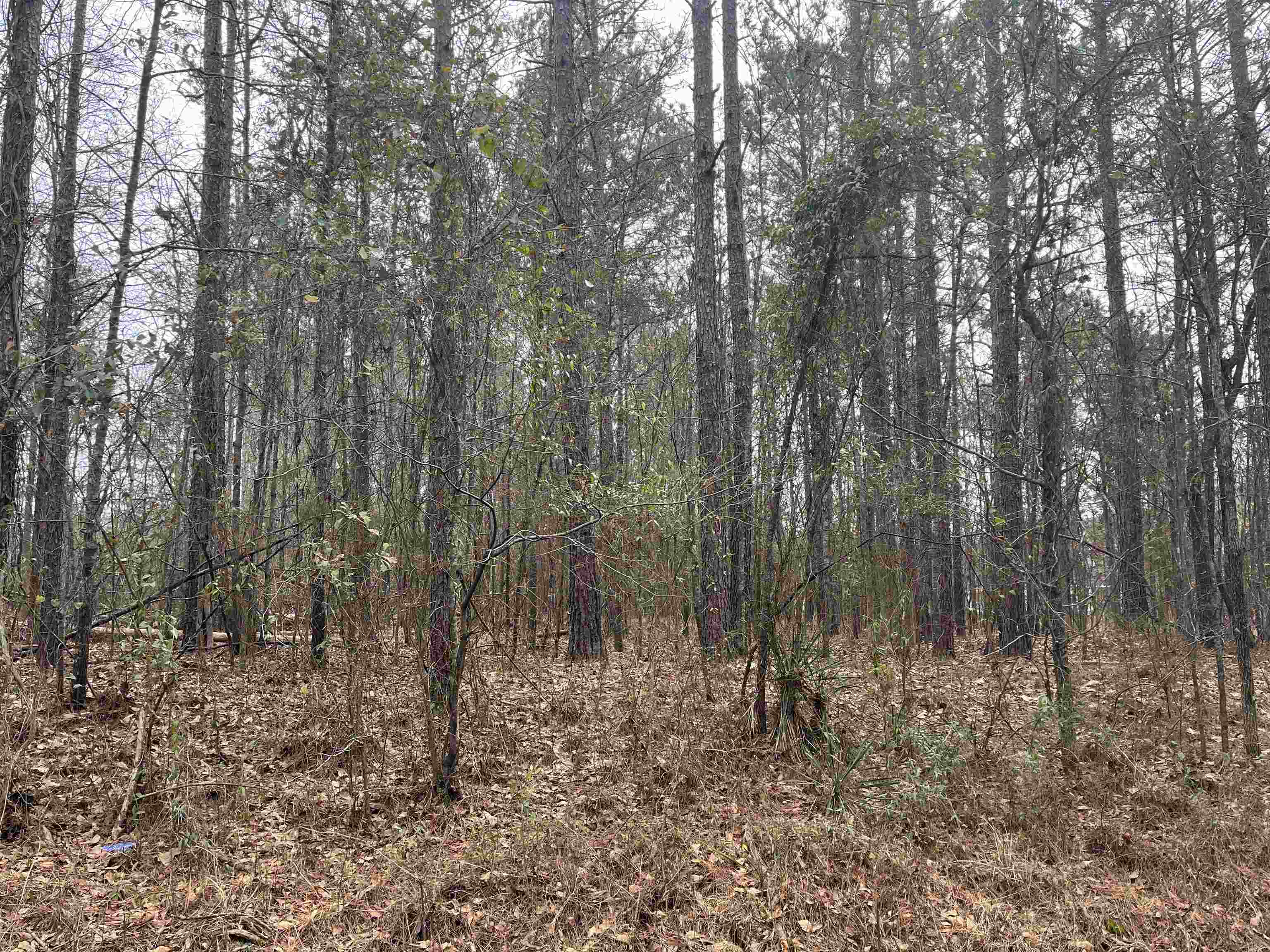 6.70 Acres Bradley Road  Eatonton GA 31024 photo