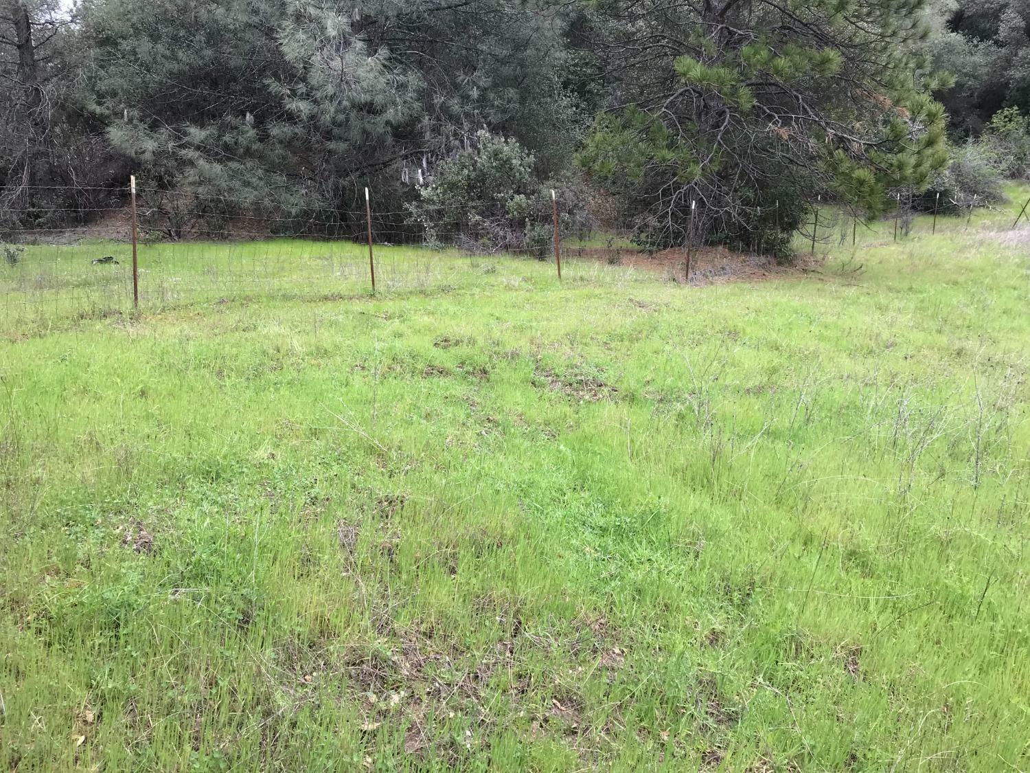 Property Photo:  5973 Mount Aukum Road  CA 95684 