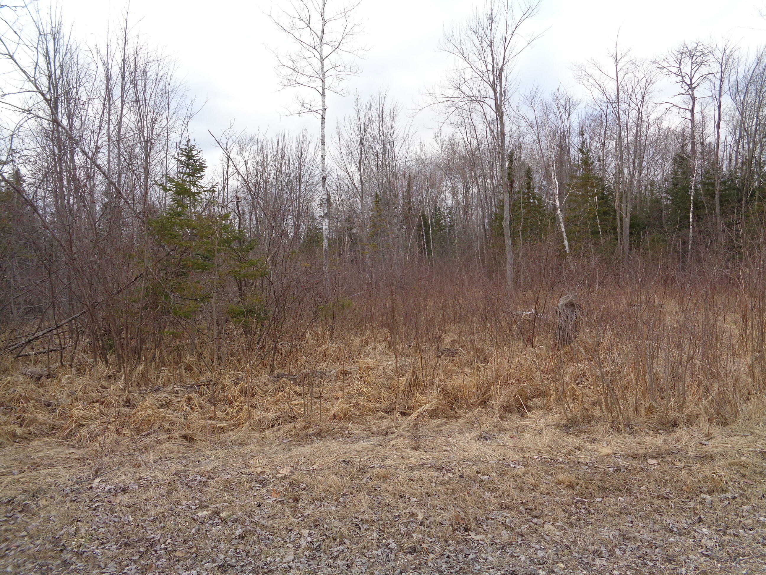 Property Photo:  130 Custer Road  MI 49707 