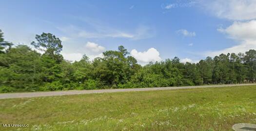 Property Photo:  Highway 49  MS 39561 