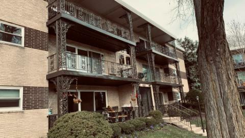 Property Photo: 915 S 8th Avenue 3 IL 60525