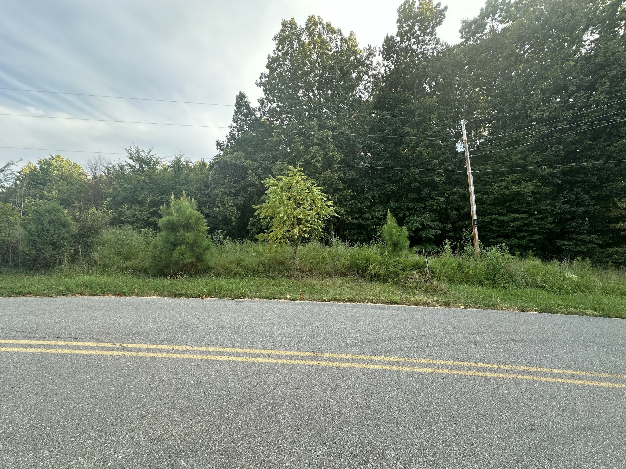 Property Photo:  0 Cottrell Ridge Road  TN 37058 