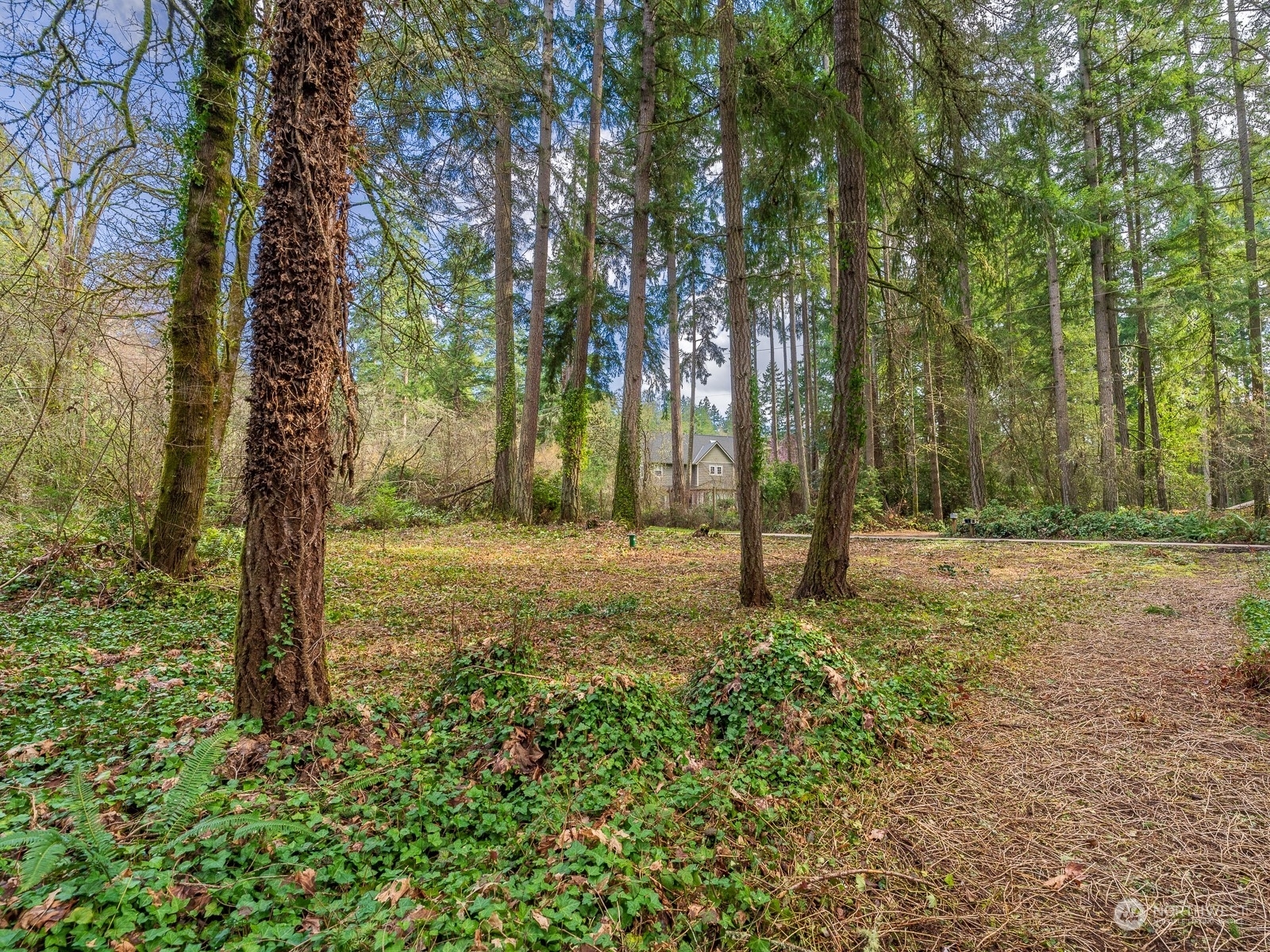 Property Photo:  0 NE North Tolo Road  WA 98110 