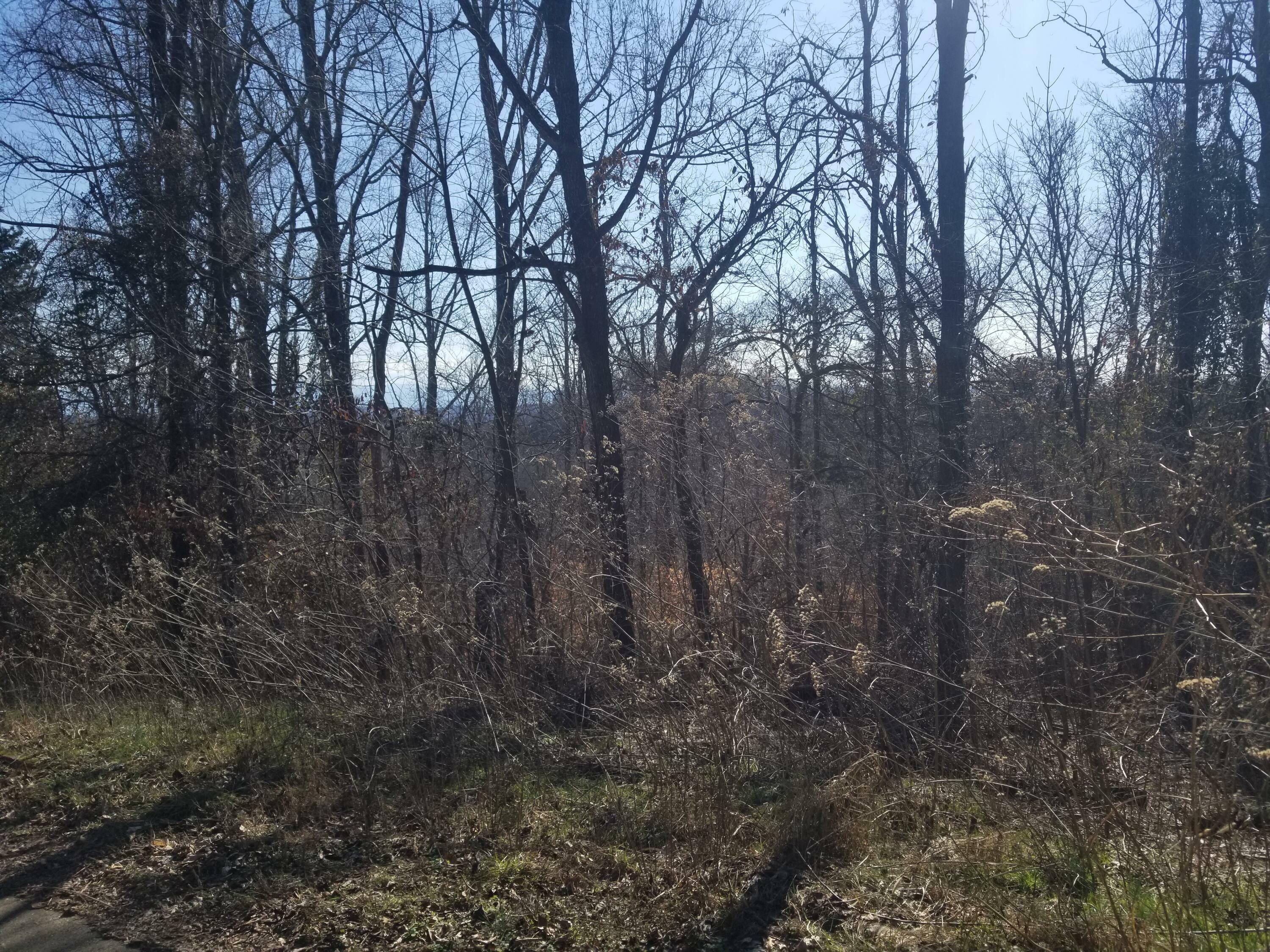 Property Photo:  Lot 12 Walk In The Trees Drive  TN 37820 