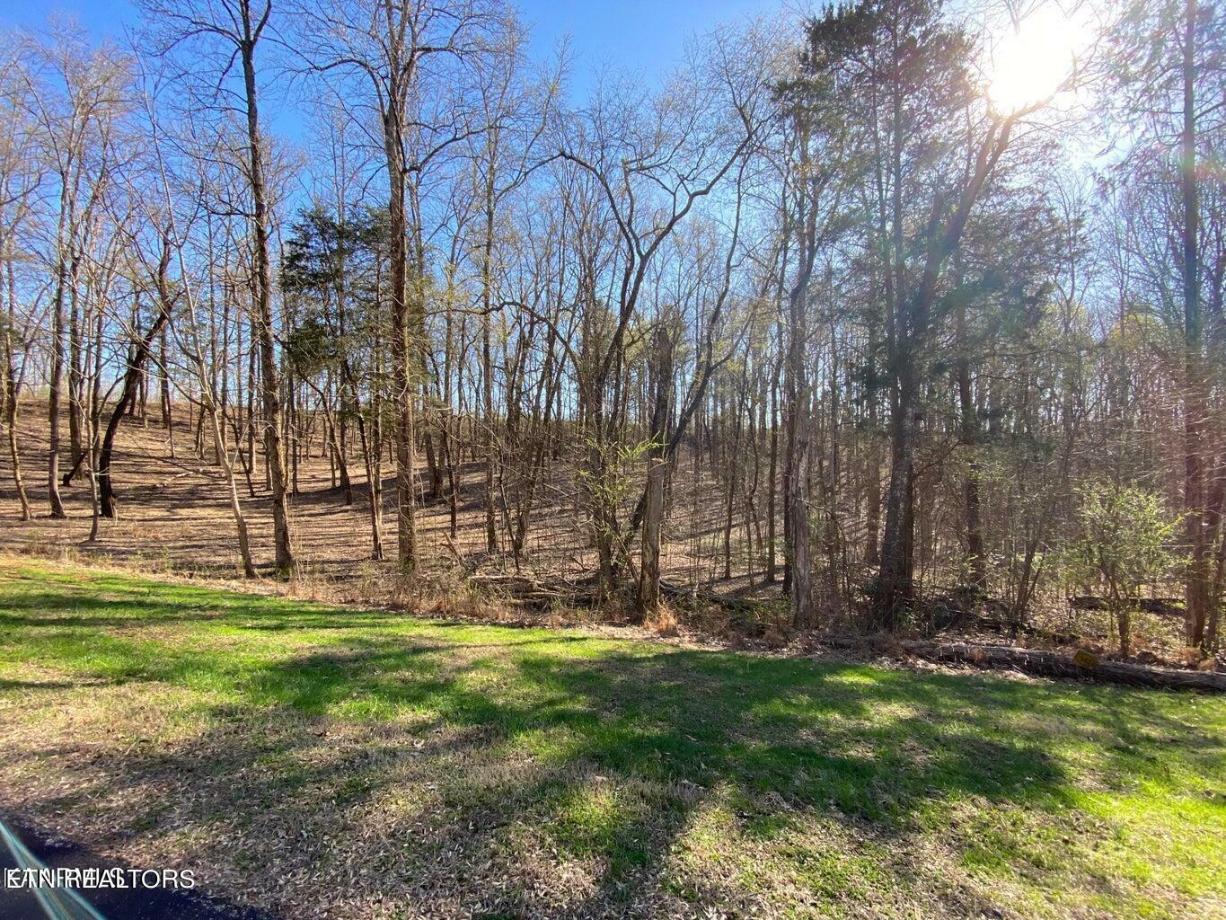 Property Photo:  Eagle Ridge Drive  TN 37854 