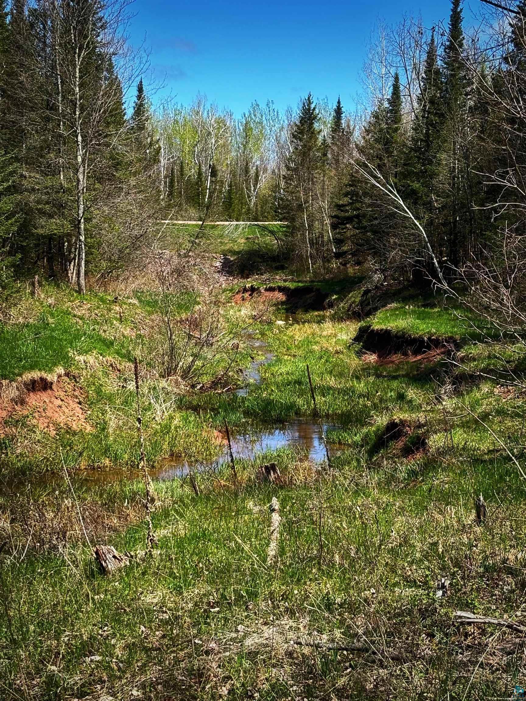 Property Photo:  000 Redinger Rd 20 Acres  WI 54806 
