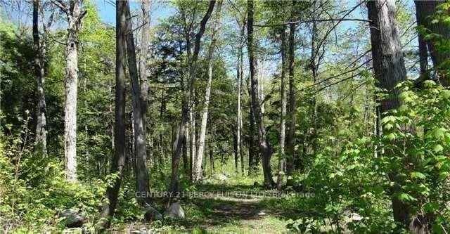 Property Photo:  Lot E21 Nippissing Ridge Rd  ON L9M 0H6 