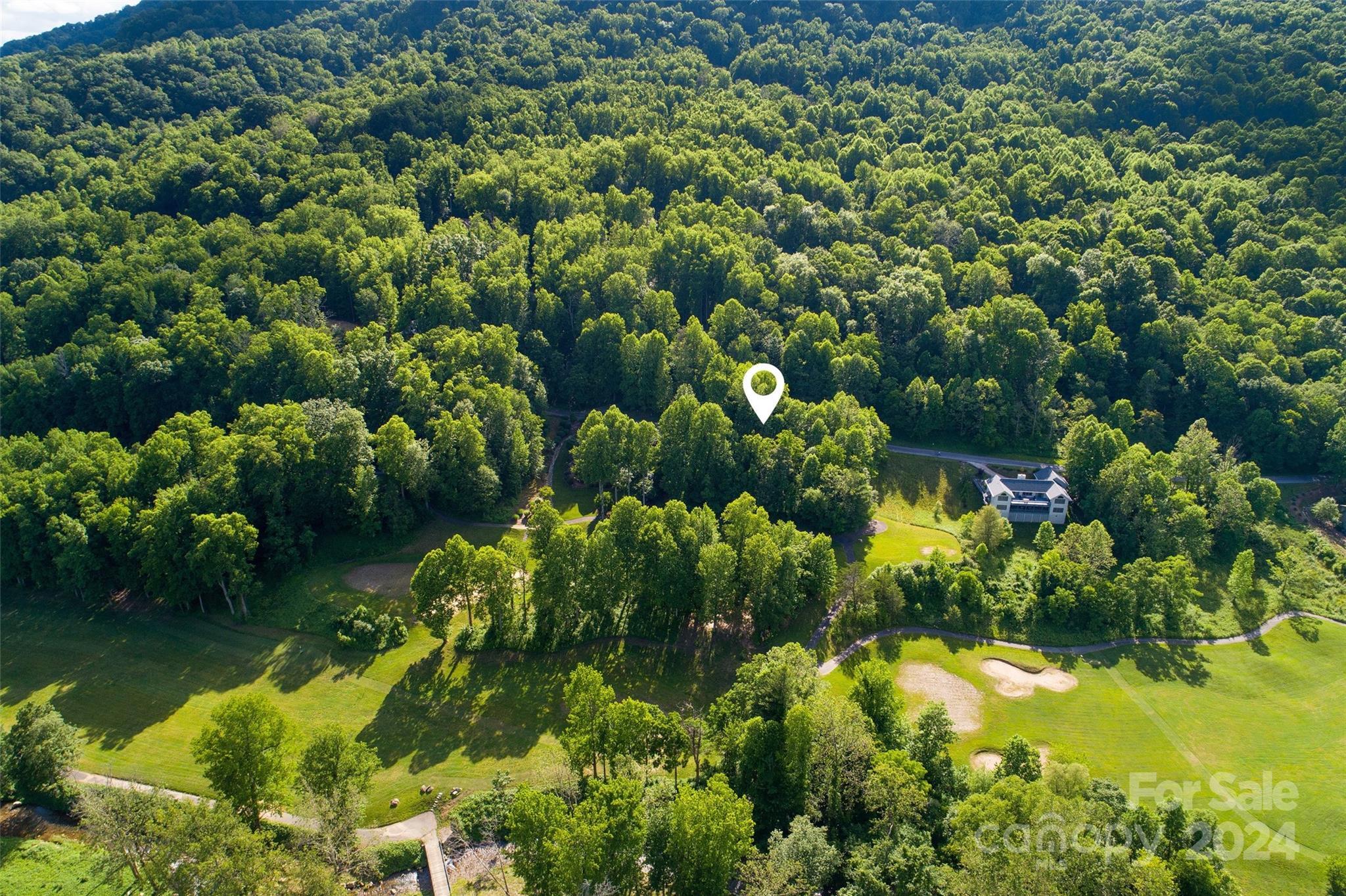Property Photo: 193 Blue Ridge Drive N NC 28752