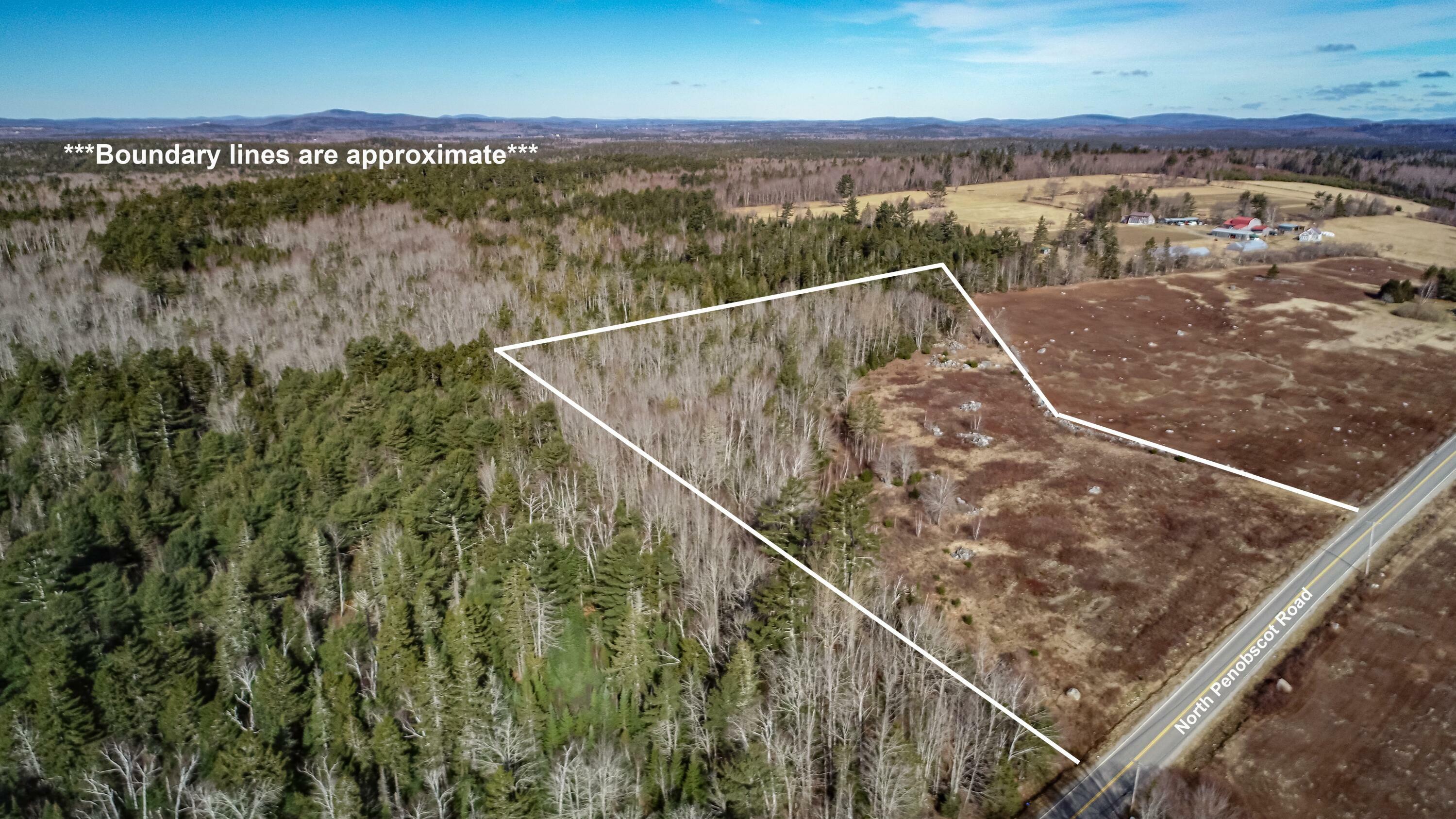 Property Photo:  Map14lot8 Route 199 Road  ME 04476 