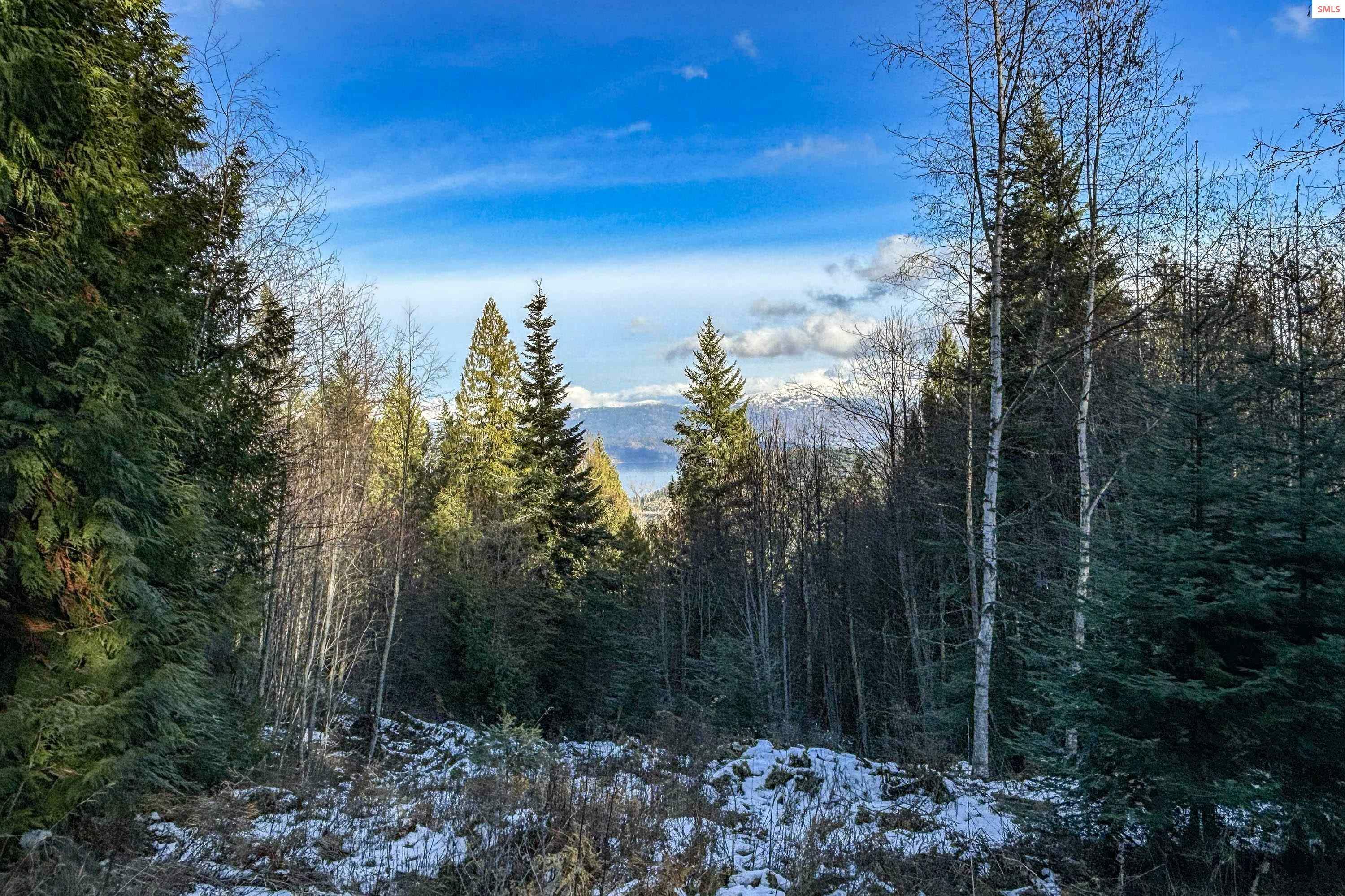 Property Photo:  Lot 4B Moonbeam Road  ID 83860 