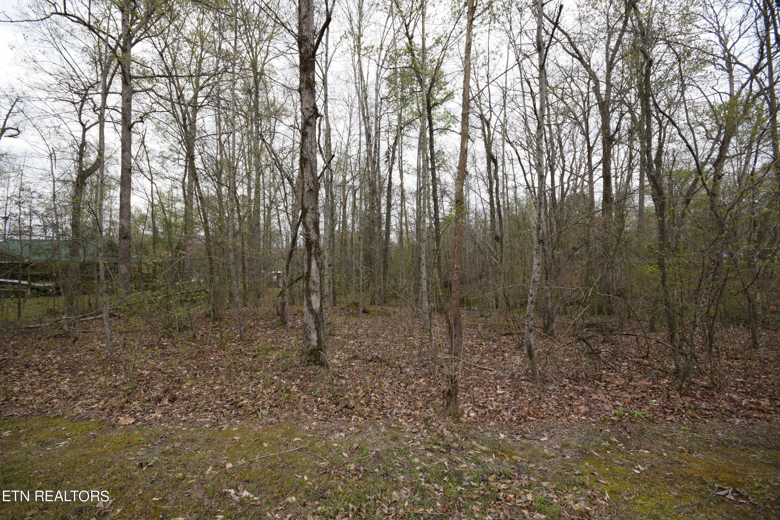 Property Photo:  0 W Rockwood Ferry Rd  TN 37880 