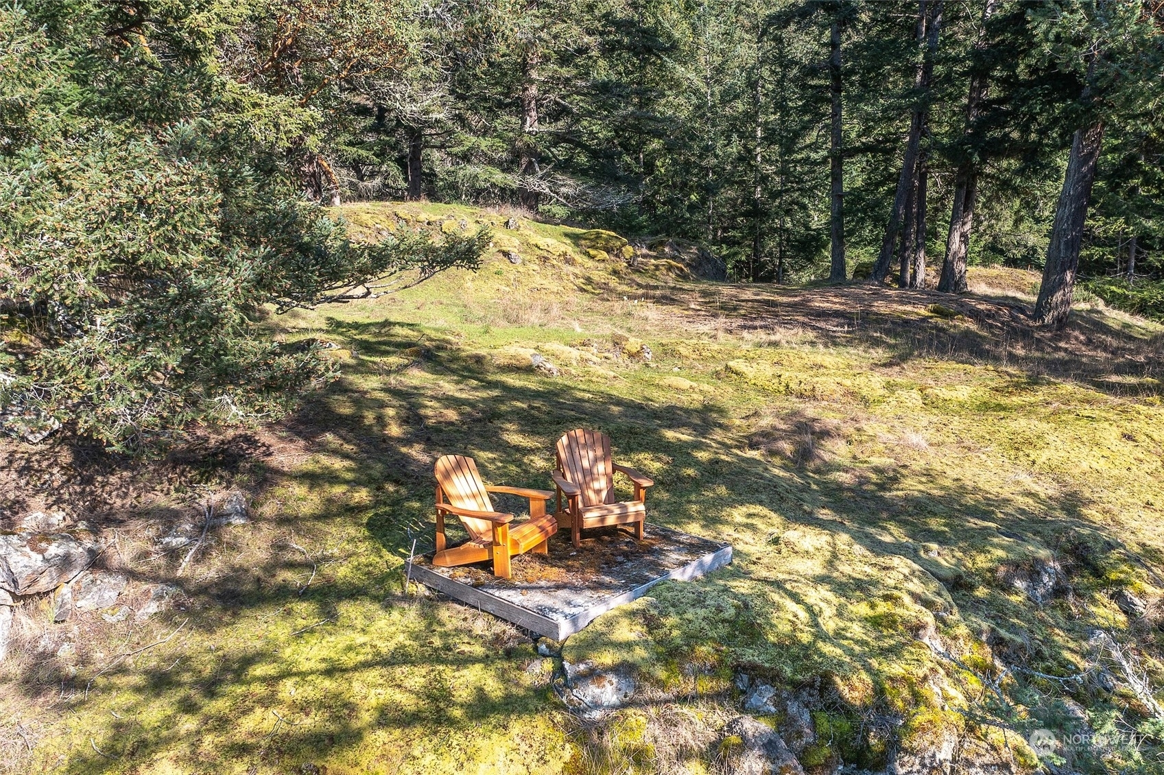 Property Photo:  936 Palisades-Lot 40 Drive  WA 98245 