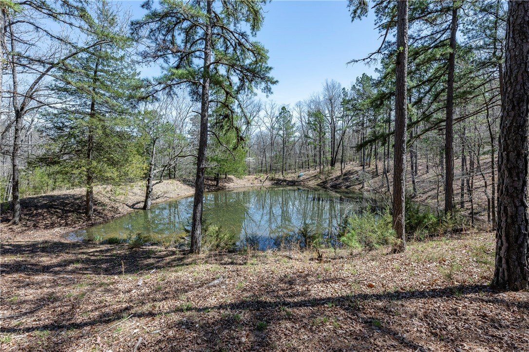 Property Photo:  1172 County Road 3402  AR 72632 