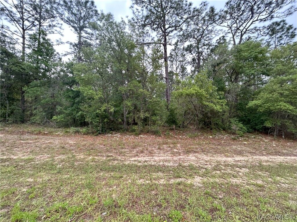 Property Photo:  1594 W Donner Drive  FL 34434 