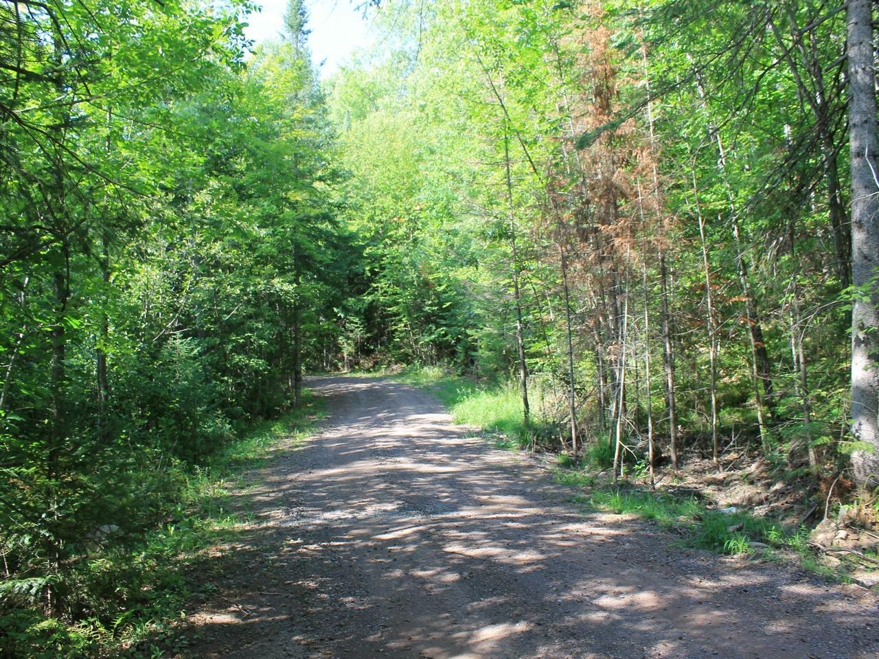 Property Photo:  Lot 16 Alpine Dr  WI 54565 