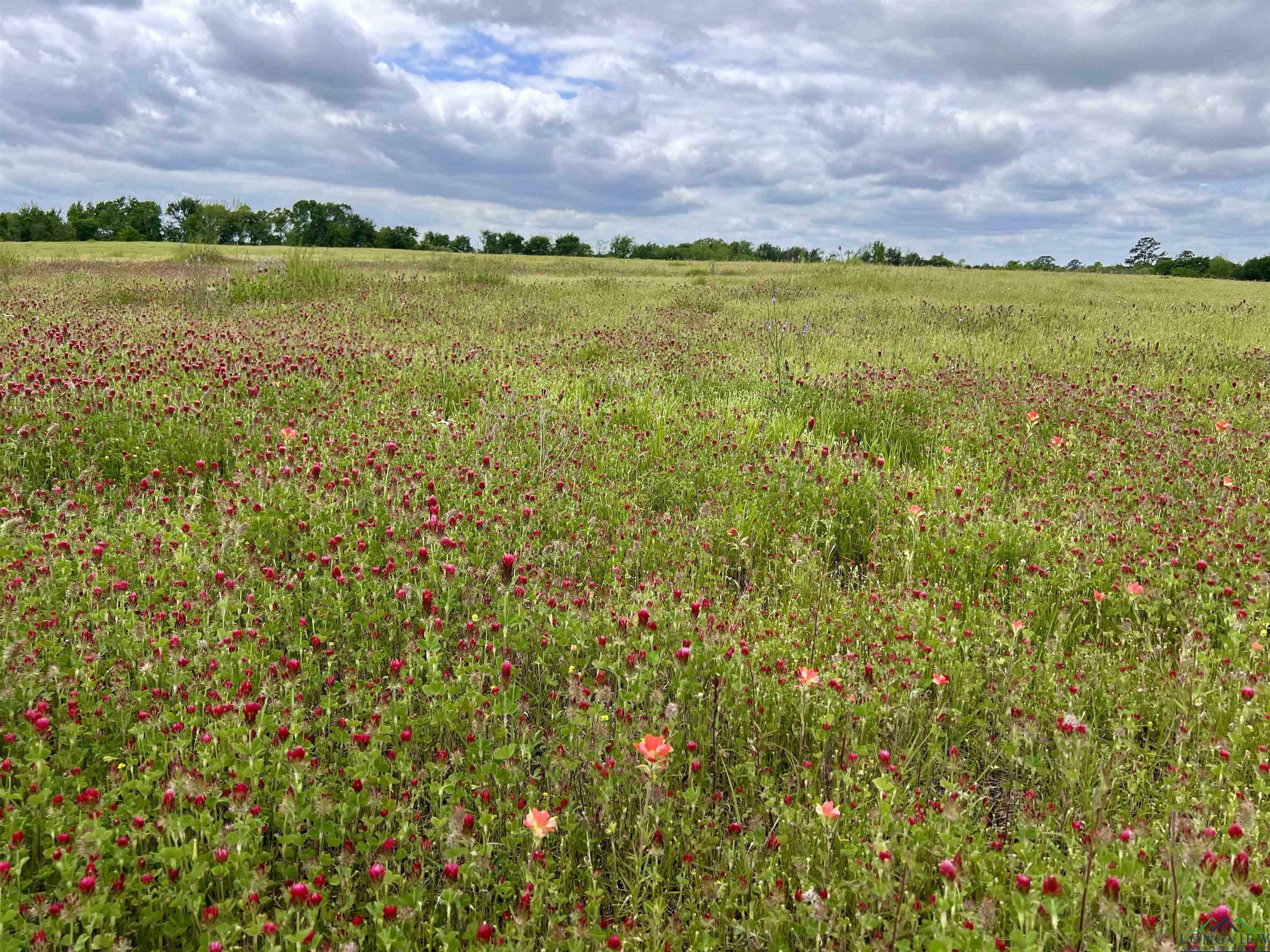 Property Photo:  3087 W Commerce  TX 75647 