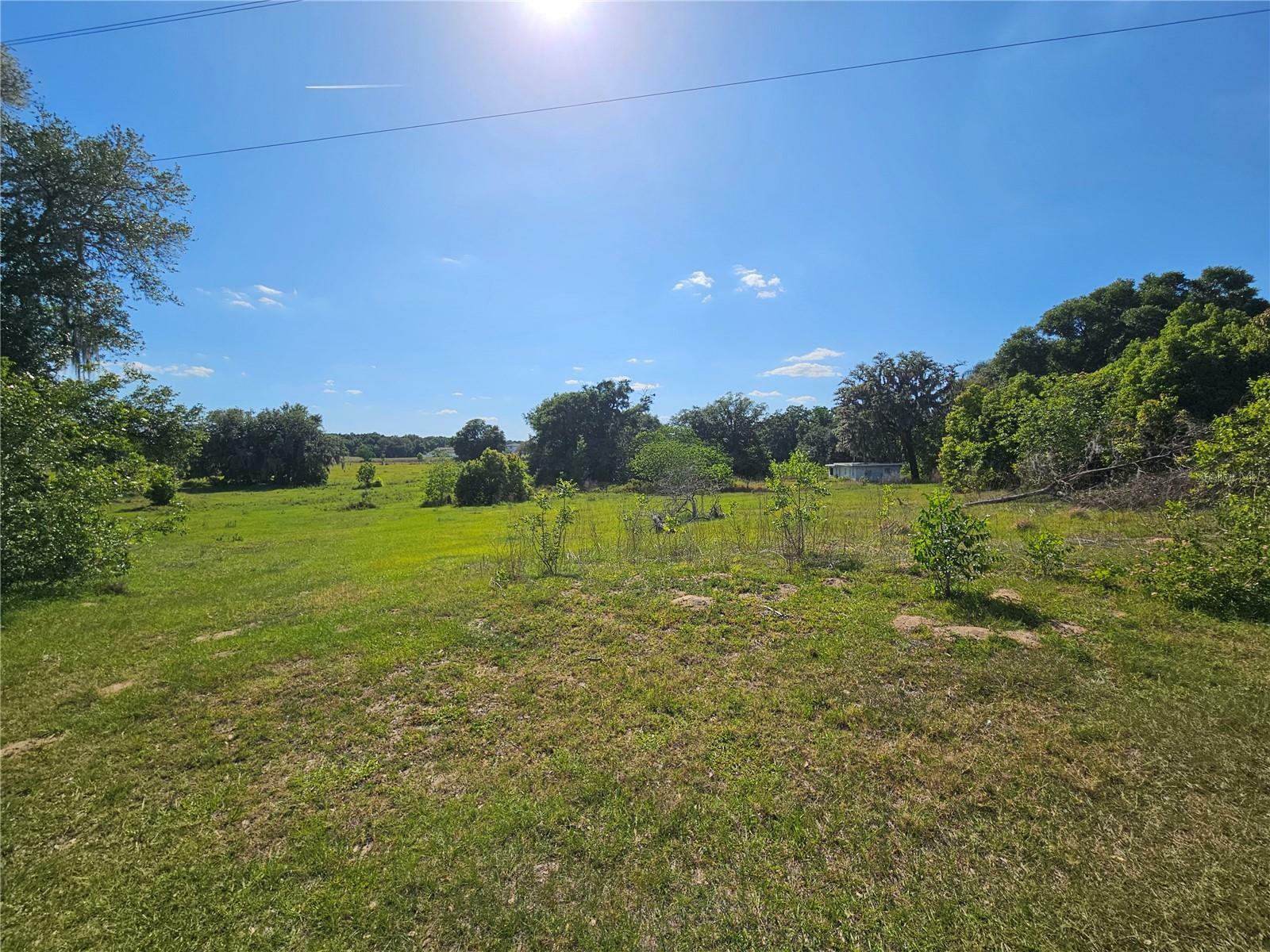 Property Photo: 38746 Clinton Avenue FL 33525