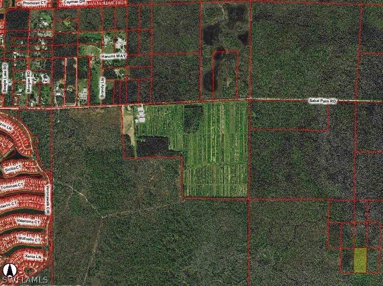 Property Photo:  0 South Of Sabal Palm Road  FL 34114 