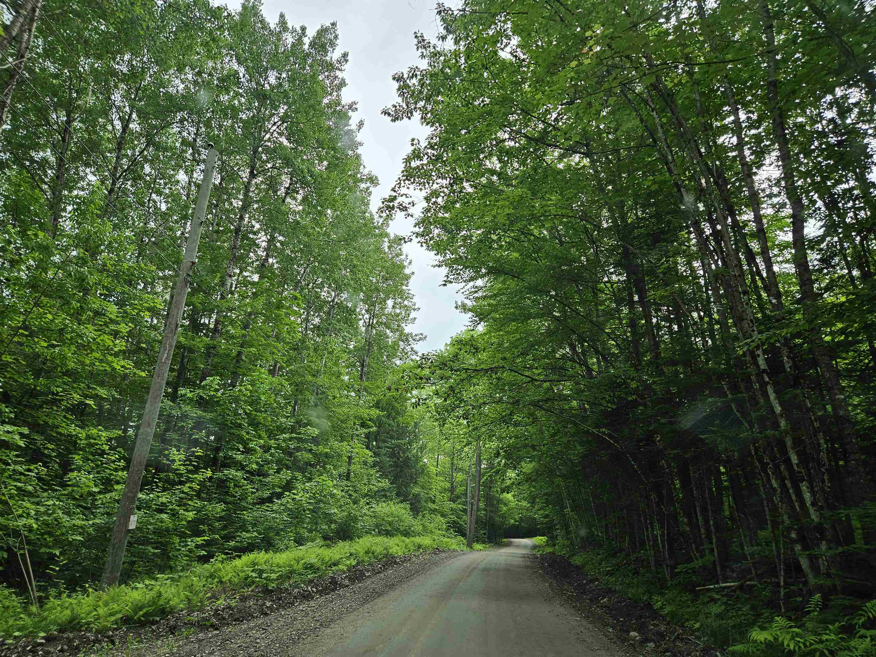 Property Photo:  Lot 90 Faraway Road  NH 03598 