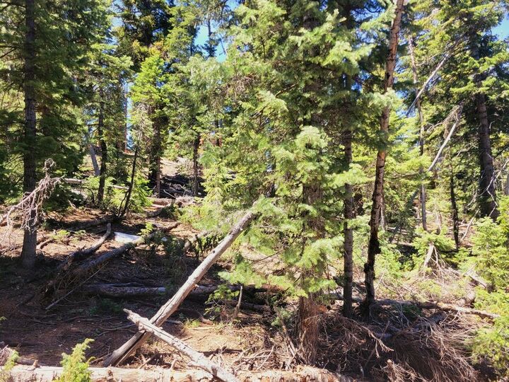 Property Photo:  880 W Shale Cir  UT 84762
