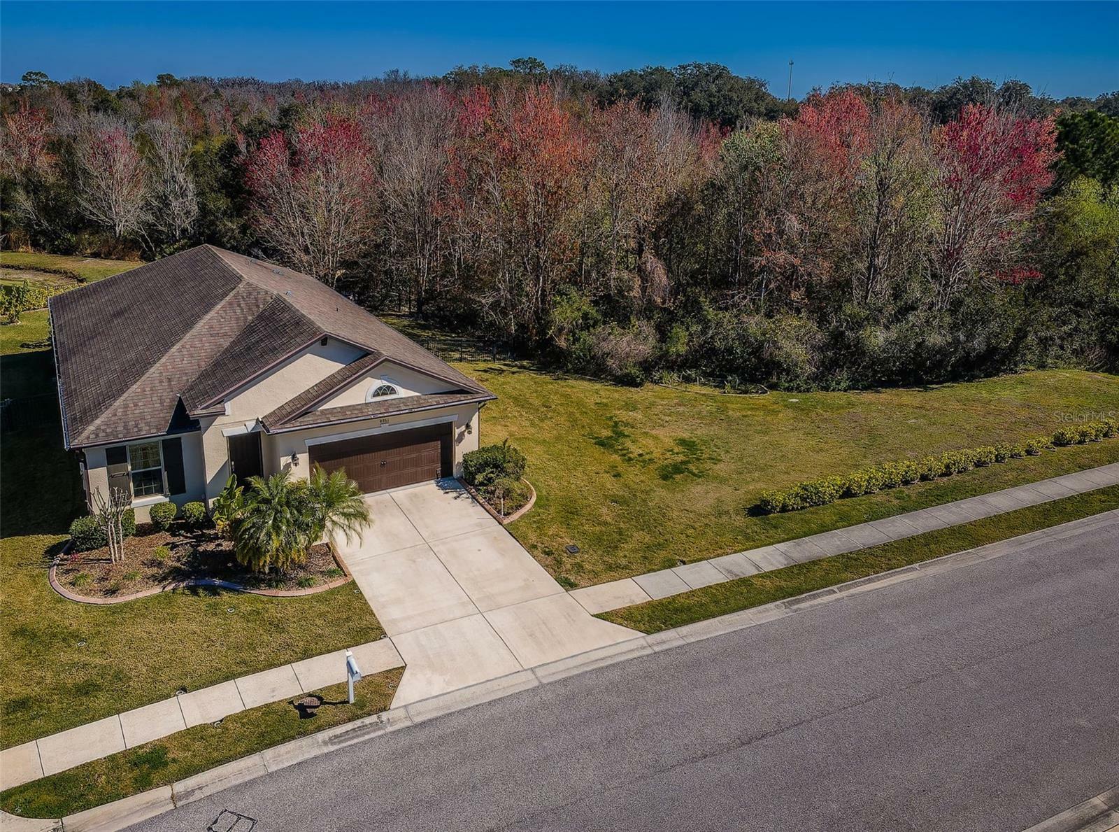 Property Photo:  4861 Rolling Greene Drive  FL 33543 