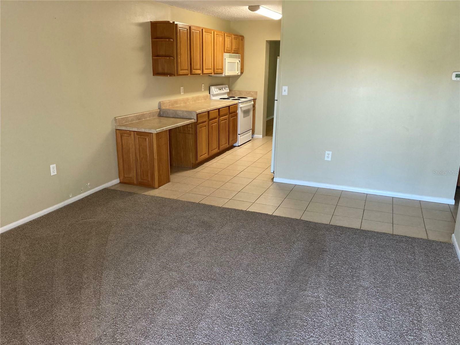 Property Photo:  196 Oak Street  FL 34711 