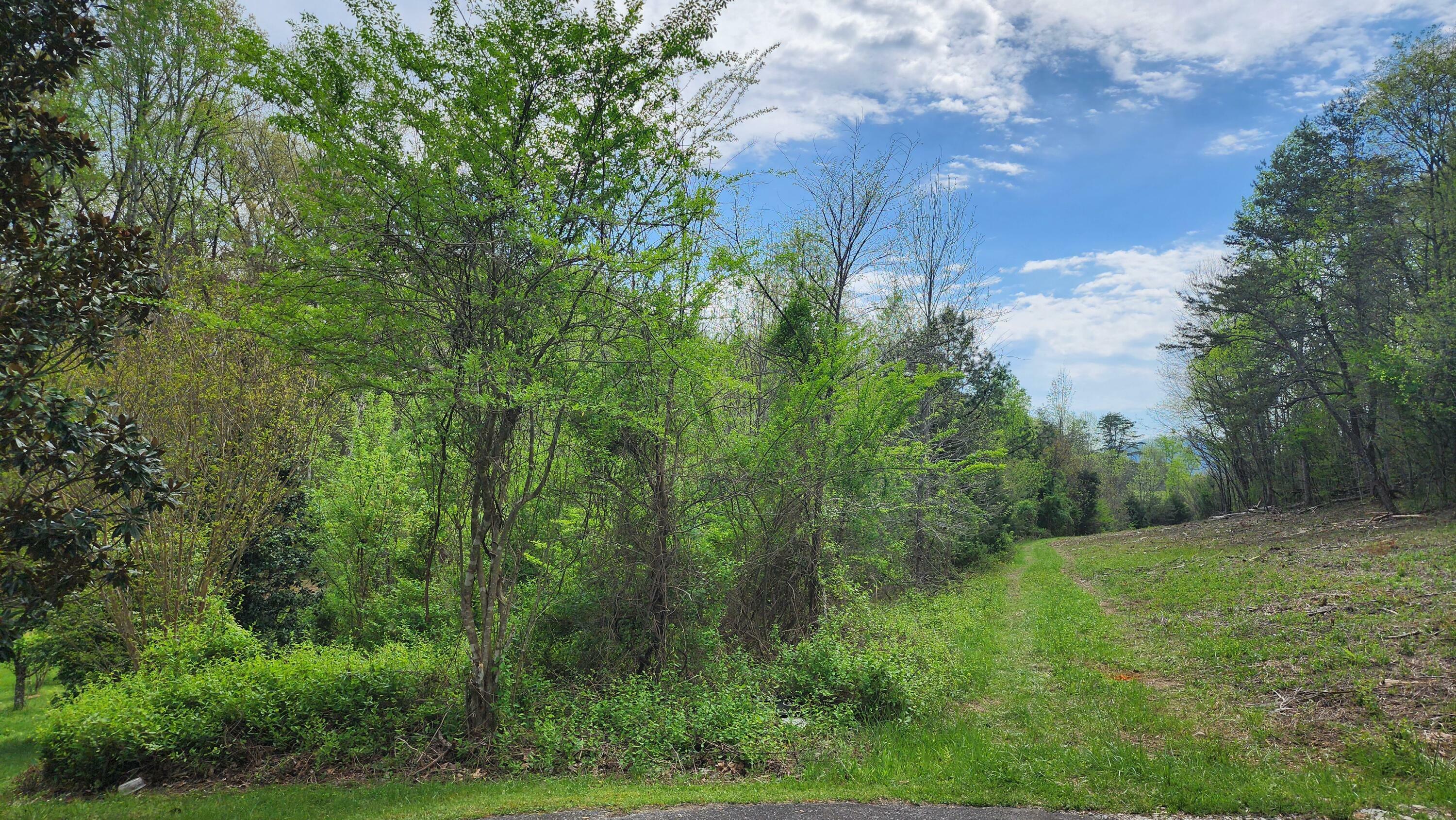 Property Photo:  Lot 36 English Fields Dr  TN 37821 