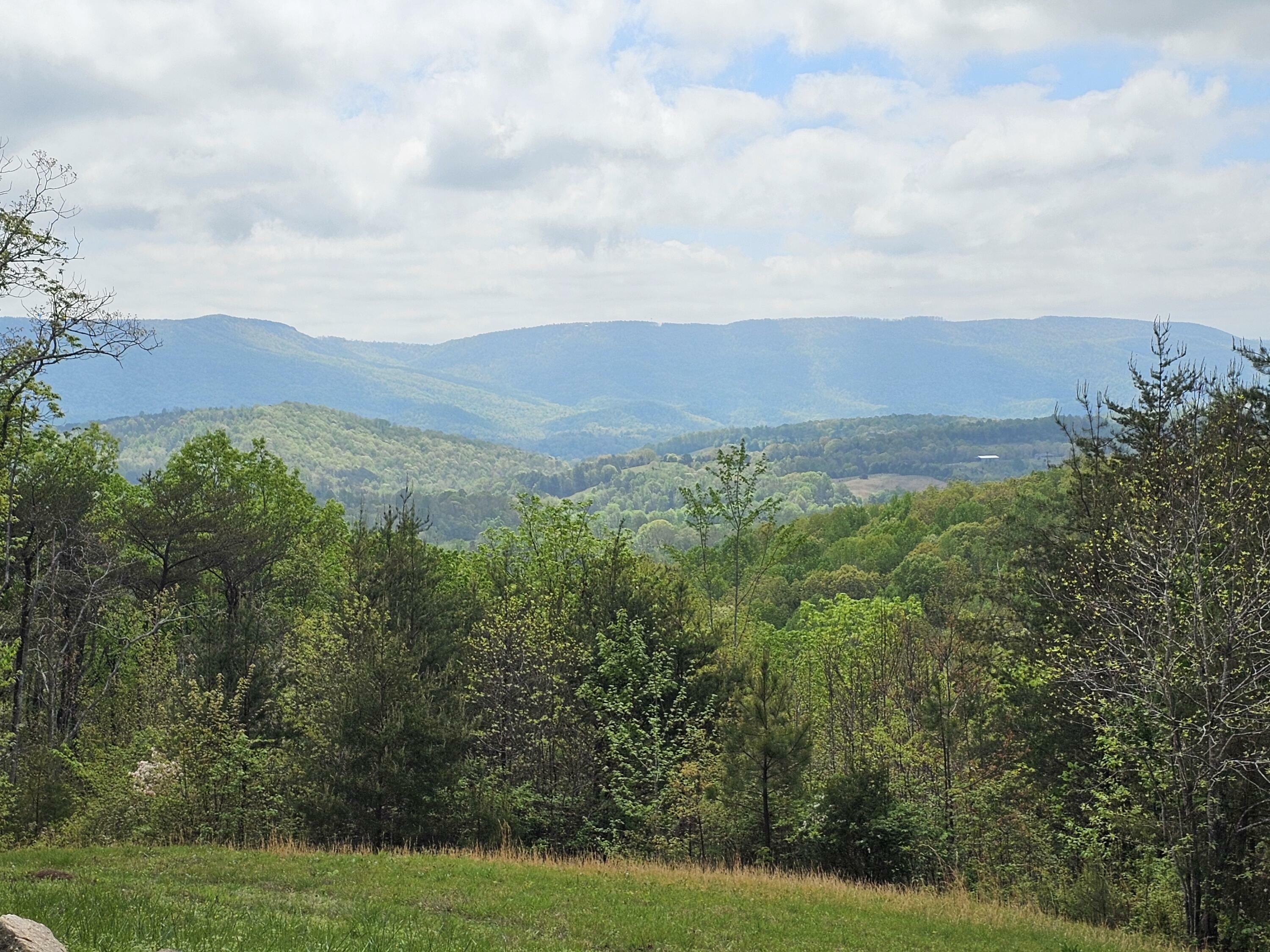 Property Photo:  1036 Lee Station Mtn Road  TN 37367 