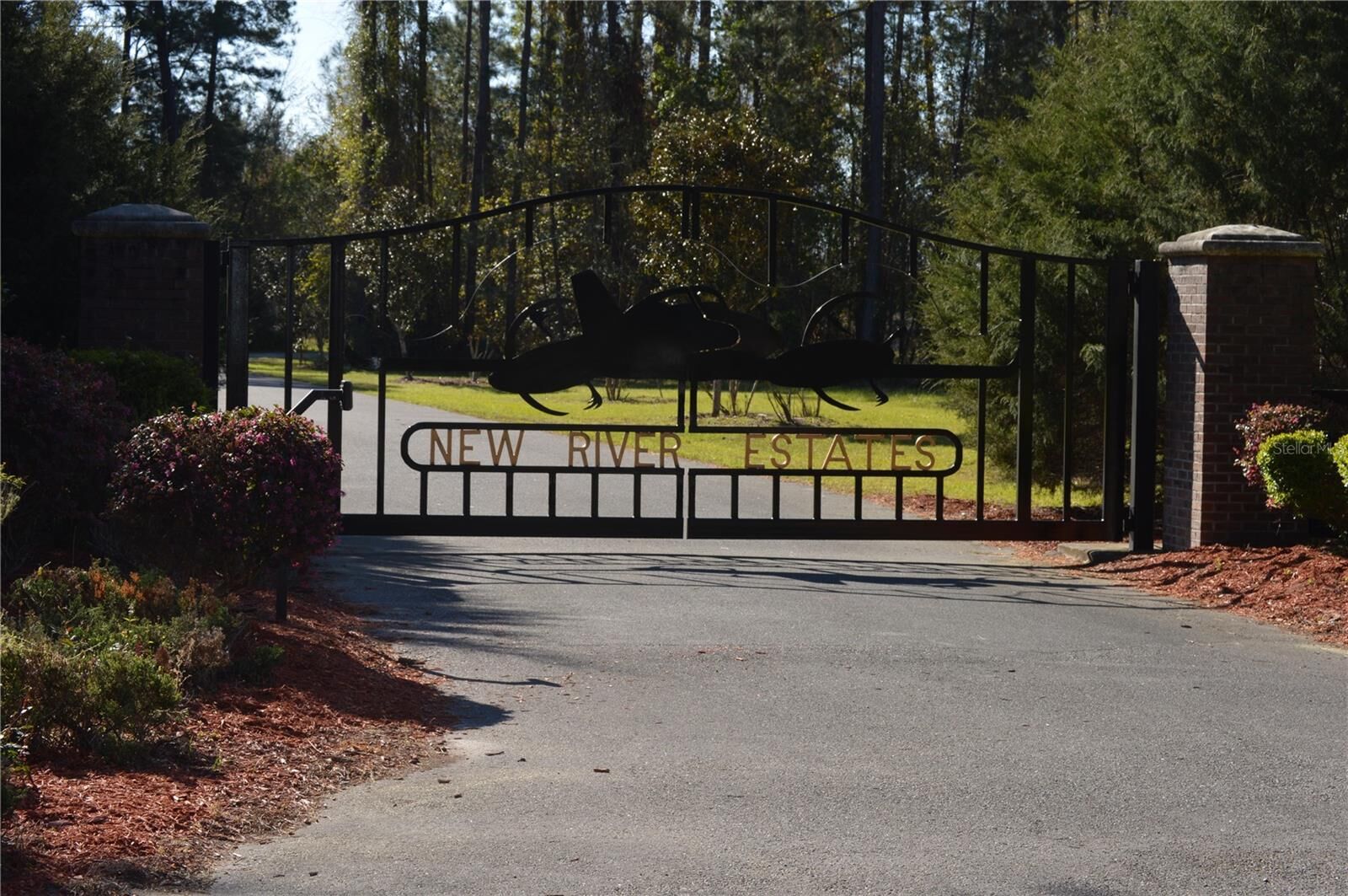 Property Photo:  Parcel 2 SW 128th Road  FL 32697 