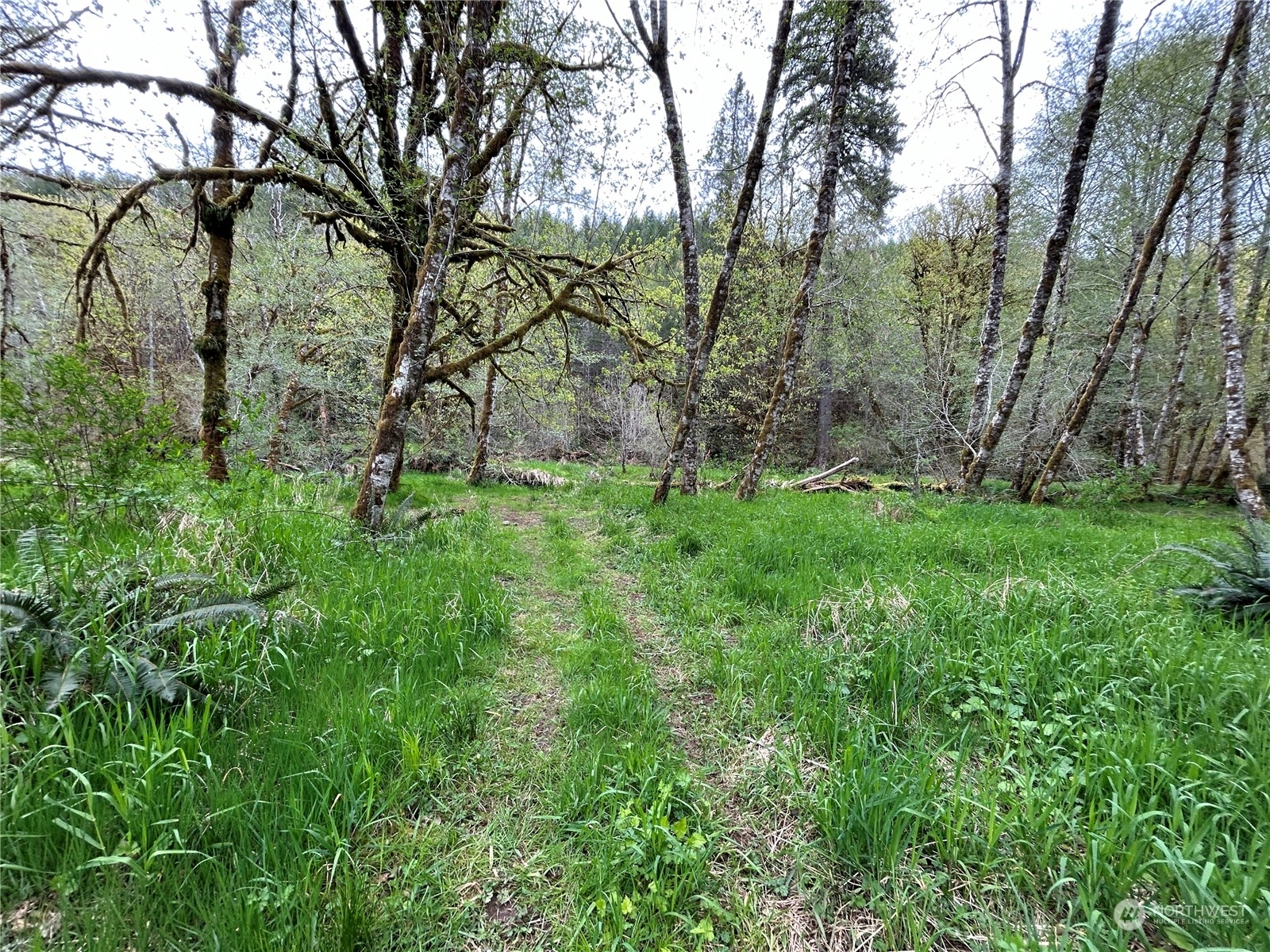 Property Photo:  0 Lot 1 Abernathy Creek Road  WA 98632 