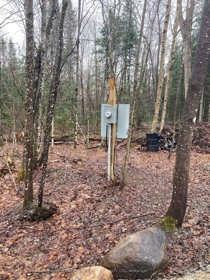 Property Photo:  66 Lake Haven Dr  ON P0A 1M0 