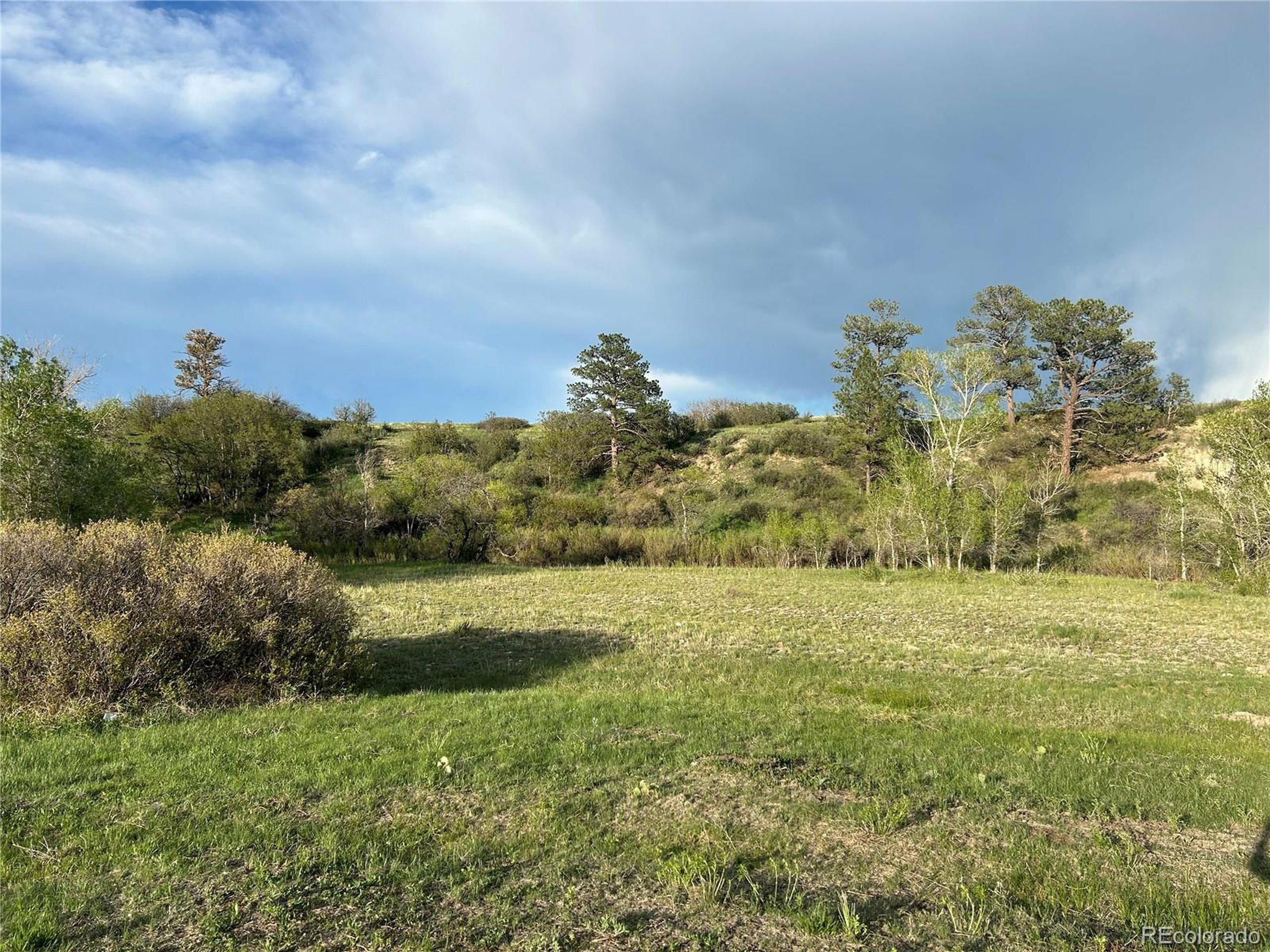 Property Photo:  1481 N Castlewood Canyon Rd  CO 80116 