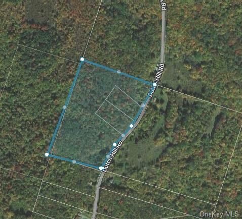 Property Photo: 570 Dutch Hill Road NY 12776