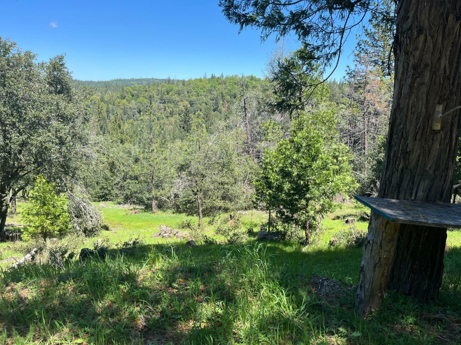 Property Photo: 19350 Tyleranne Lane CA 95689