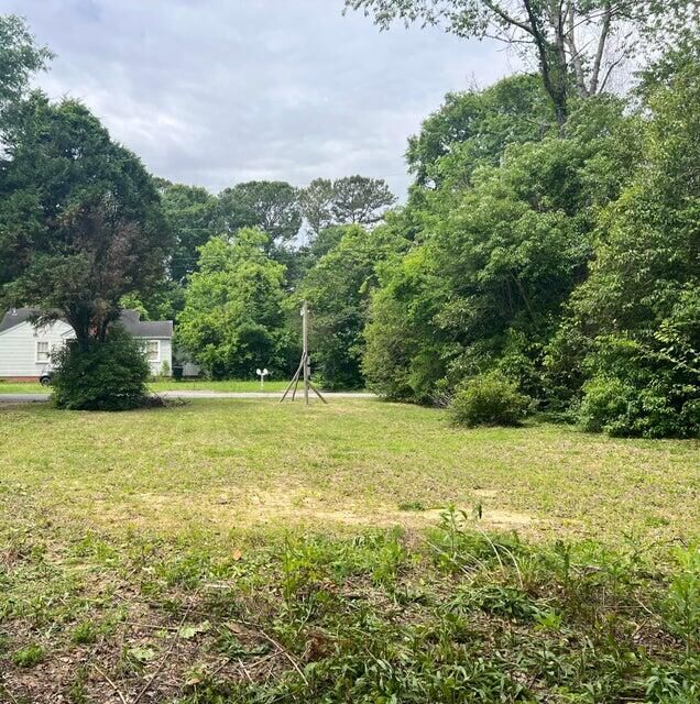 Property Photo:  1209 Vienna Woods Road  SC 29410 