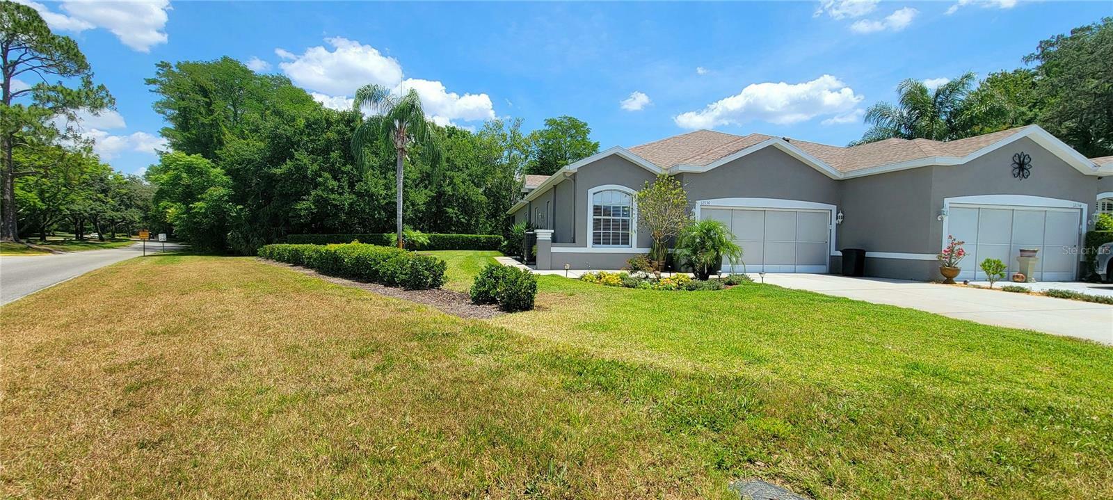 Property Photo:  12136 Tournament View Avenue  FL 34654 