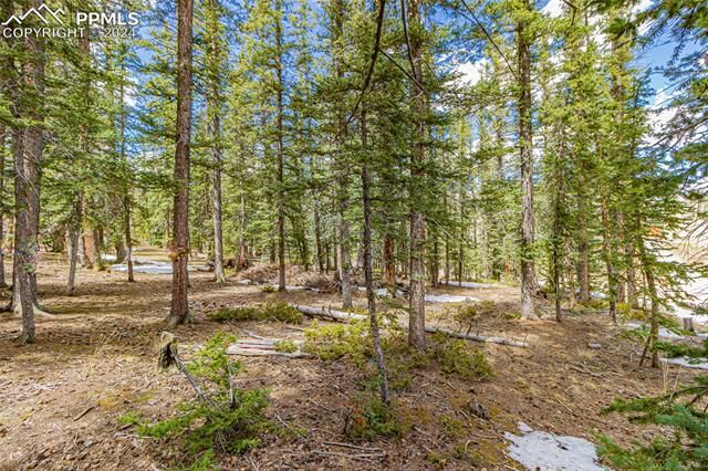 Property Photo: 402 Silvermoon Heights CO 80814