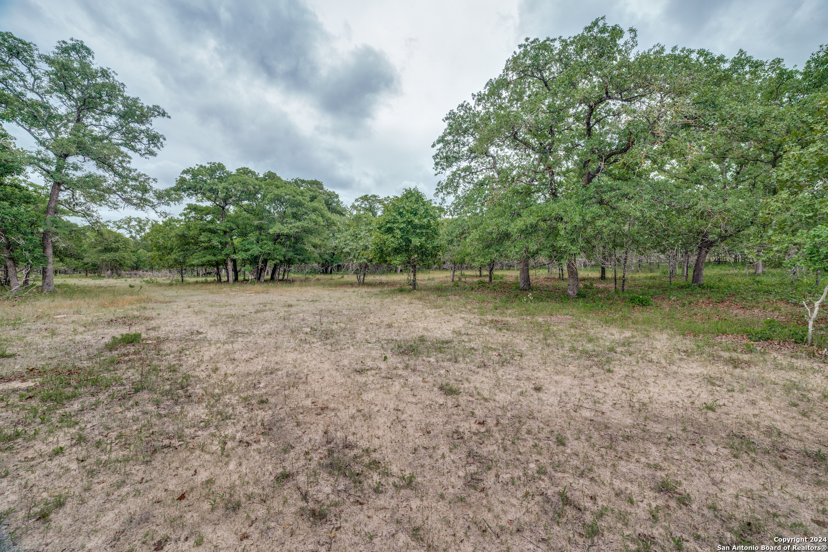 Property Photo:  120 Longhorn Road  TX 78160 