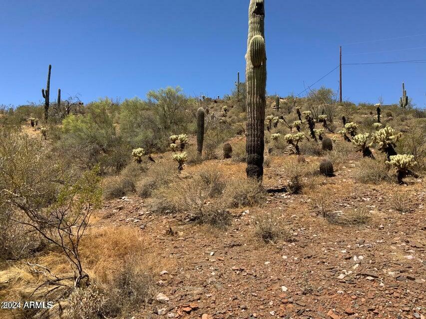 Property Photo:  462X0 N 37th Avenue -  AZ 85087 