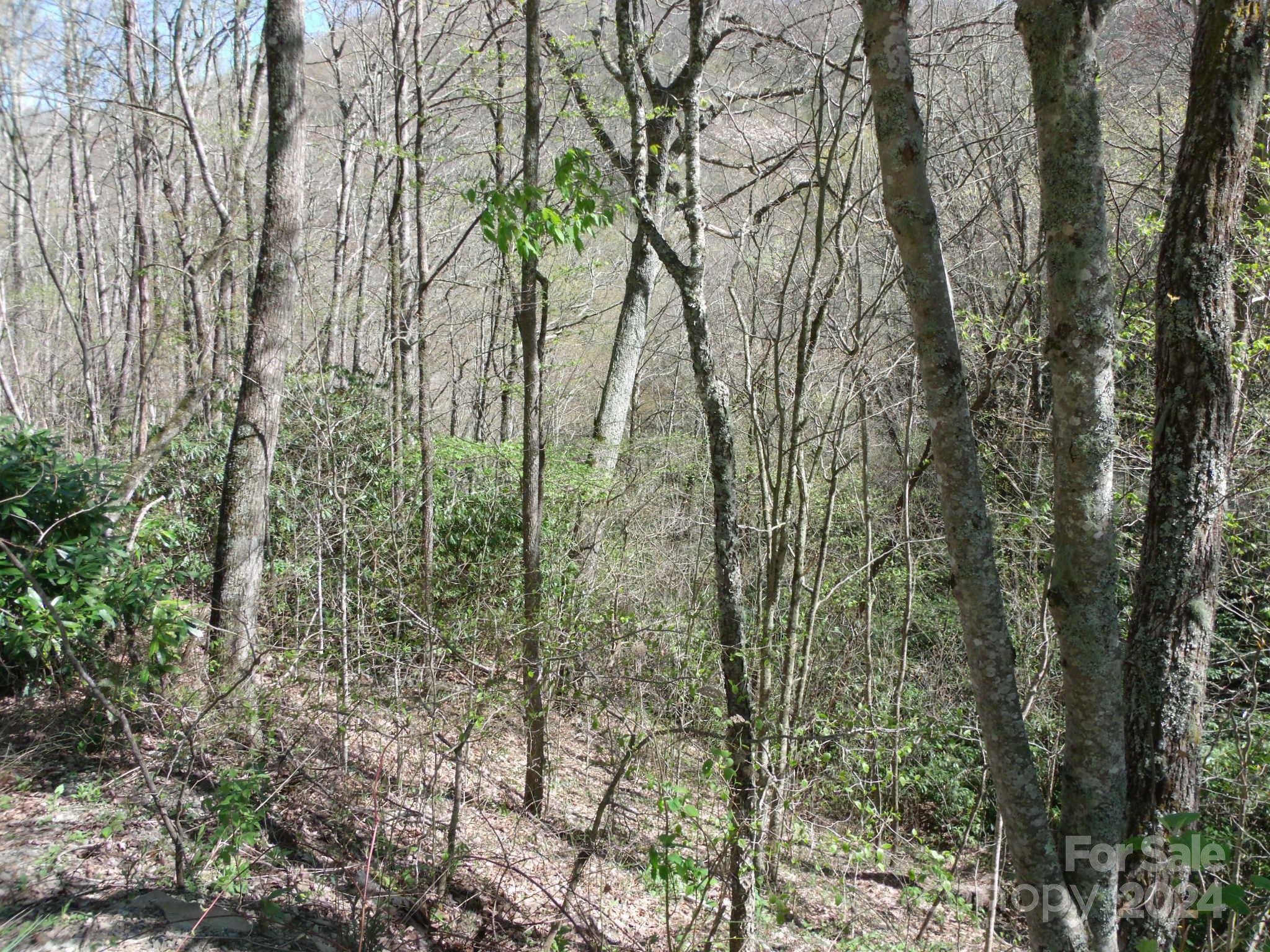 Property Photo:  00 Long Branch Road 19  NC 28751 