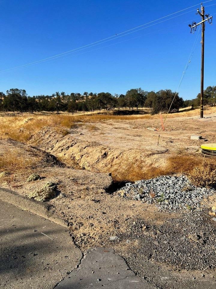 Property Photo:  1 1.25 Ac Sunflower Lane  CA 93645 