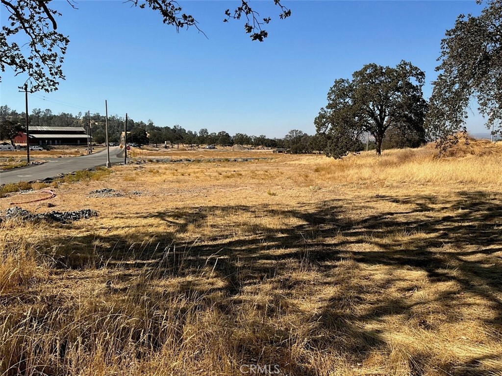 Property Photo:  0 Lot 9 Sunflower Lane  CA 93645 