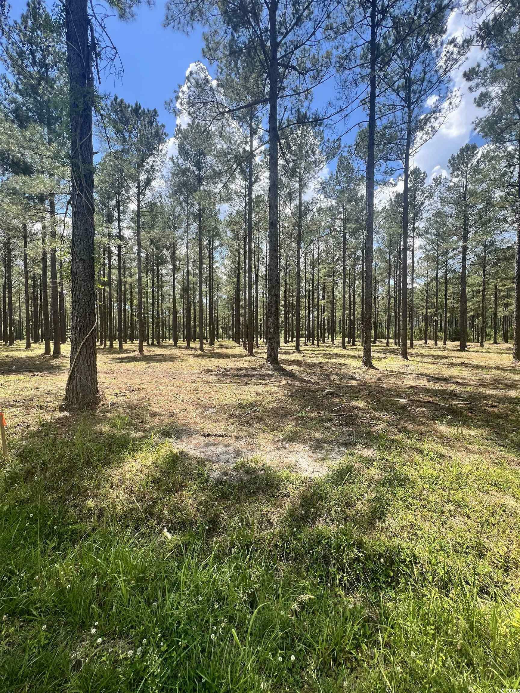 Property Photo:  Lot 1 Ashley Circle  SC 29526 