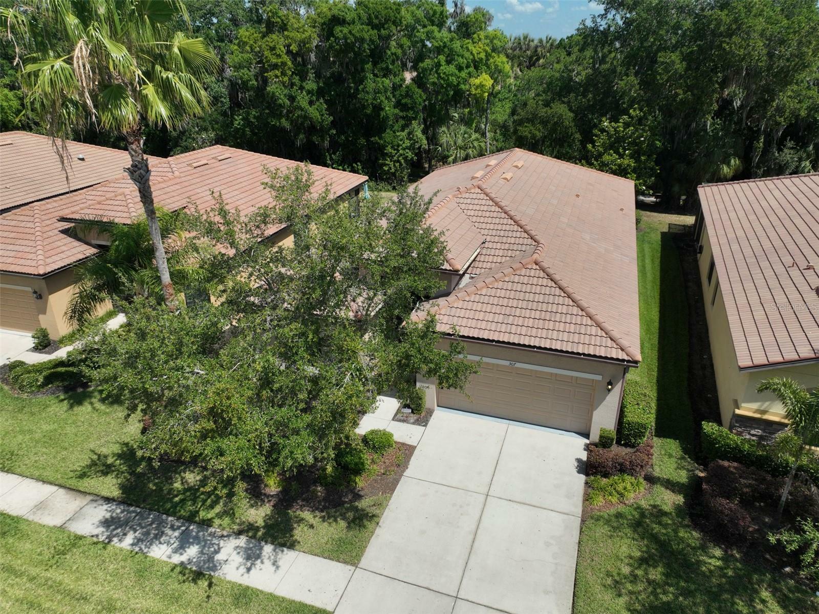 Property Photo:  307 Laurel Falls Drive  FL 33572 