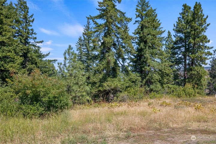 Property Photo:  0 Xxx  Morrison Canyon Road  WA 98922 