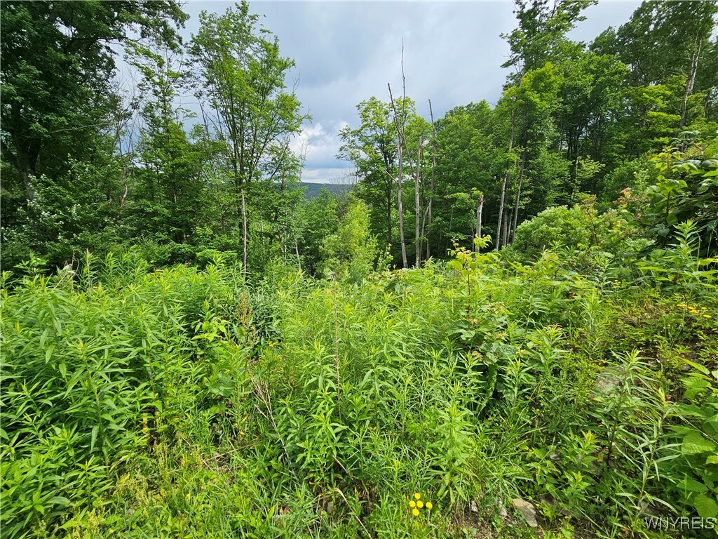 Property Photo: 20 Fresh Tracks Way 20 NY 14731