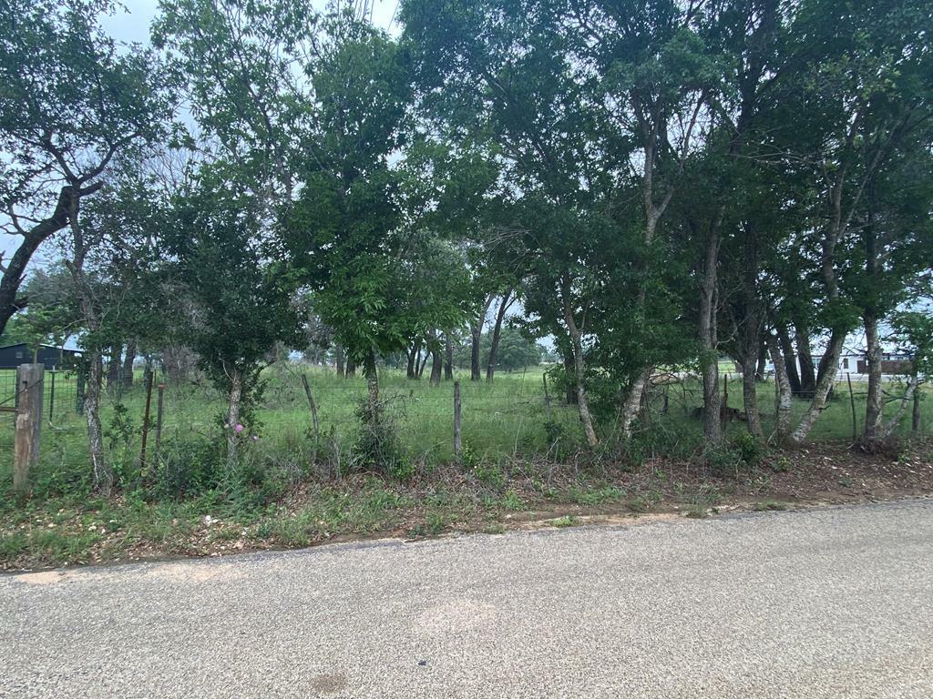 Property Photo:  960 Eagle St  TX 78624 