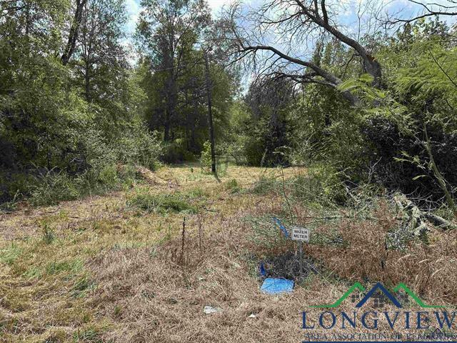 Property Photo:  Tbd Fm 838 (+/- 5.65ac) Fm 2089  TX 75684 