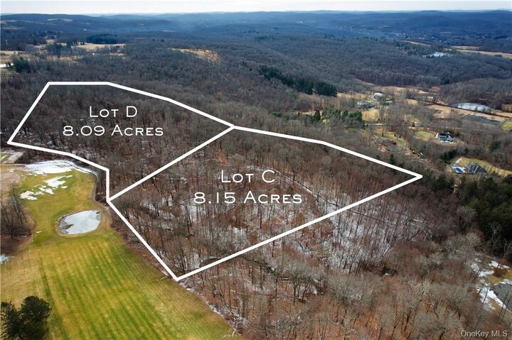 Property Photo:  Lot C Oblong Lane  NY 12564 